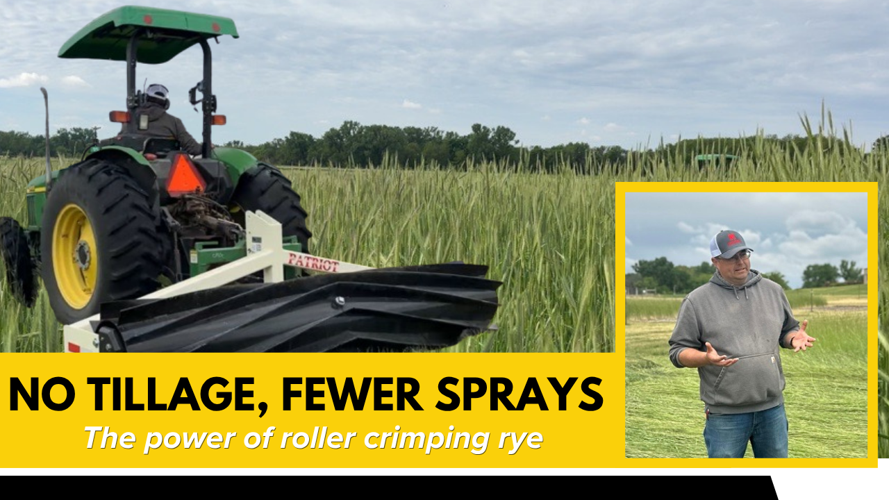 Why More Farmers Are Roller Crimping Rye | Aaron Nygren | Rural Radio