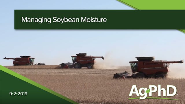 Managing Soybean Moisture | Ag PhD