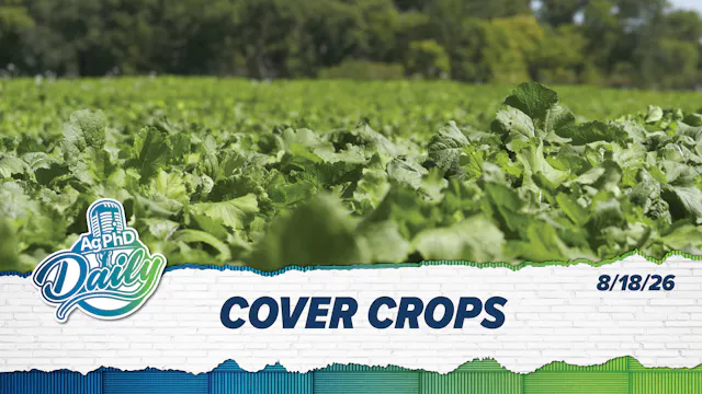Cover Crop | Ag PhD Daily | 8/18/2026