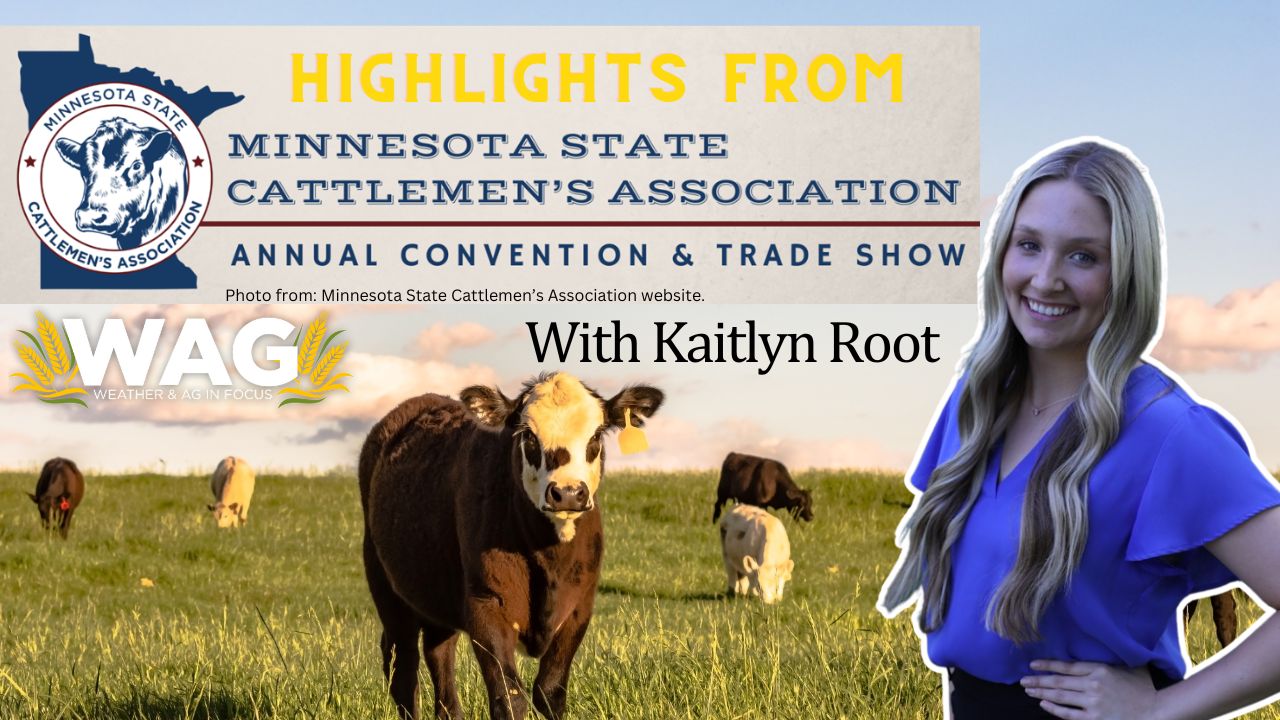 Minnesota Cattlemen's Convention Highlights! | WAG in Focus 11/21/23
