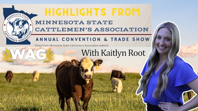 Minnesota Cattlemen's Convention High...