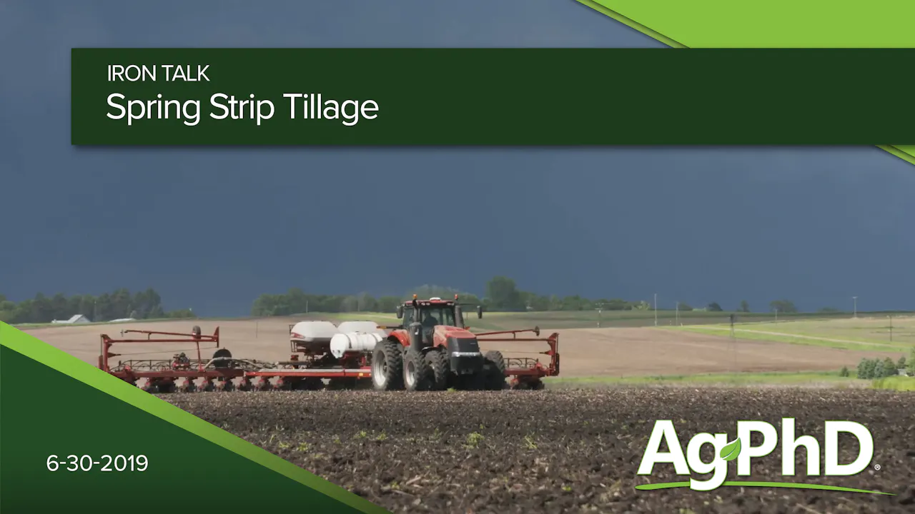 Spring Strip Tillage - AcresTV