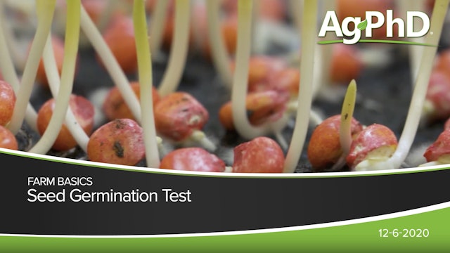 Seed Germination Test | Ag PhD