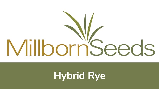 Millborn Seeds - Hybrid Rye