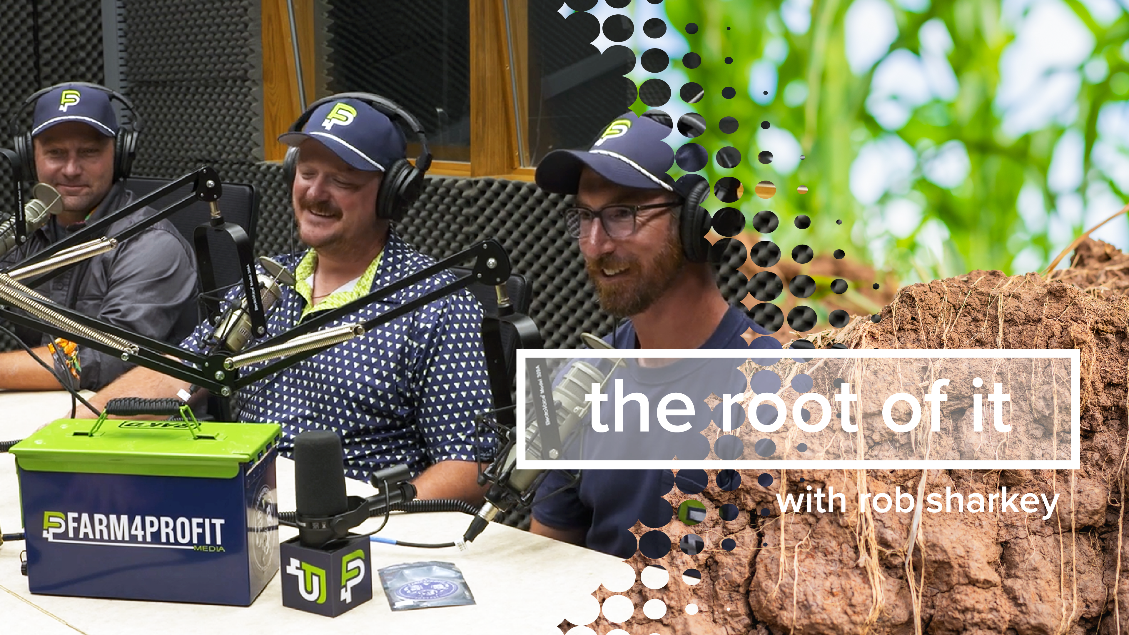 The Root of It | Farm4Profit