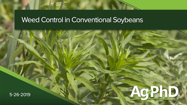 Weed Control in Conventional Soybeans...