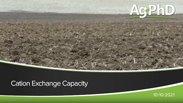 Cation Exchange Capacity | Ag PhD