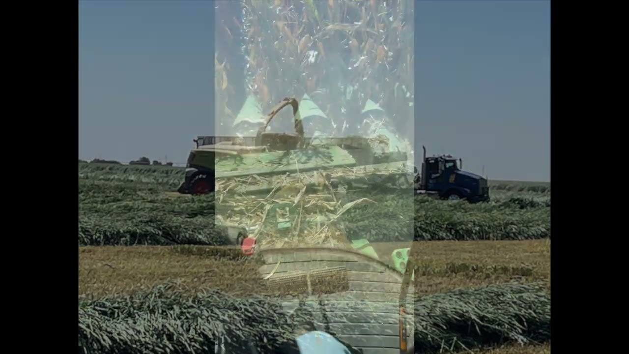 Post-Season Decision Making | AgroLiquid