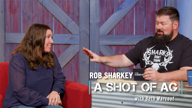 Beth Marcoot | Marcoot Jersey Creamer...