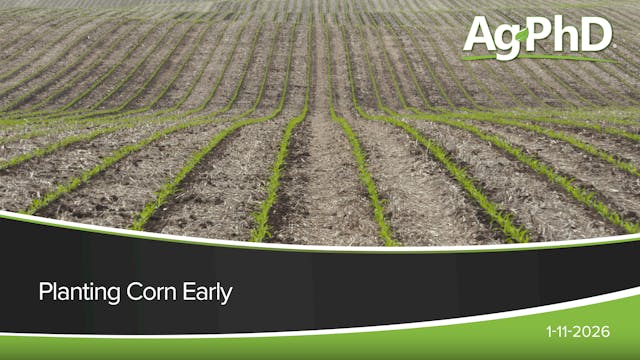 Planting Corn Early | Ag PhD