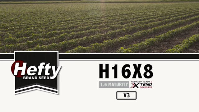 H16X8 | 1.6 Maturity | Xtend