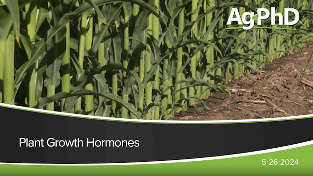 Plant Growth Hormones | Ag PhD