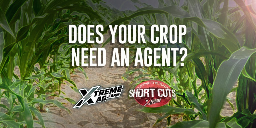 What is a Health Agent and Does Your Crop Need One? | XtremeAg