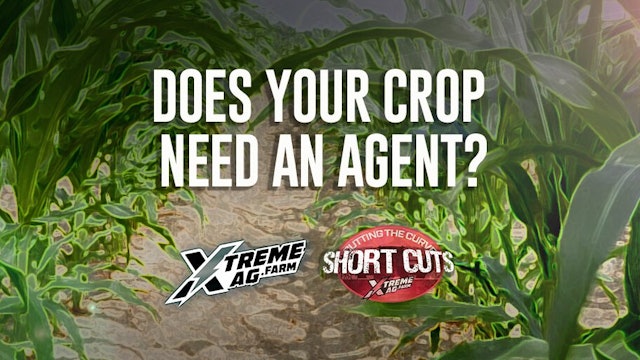 What is a Health Agent and Does Your Crop Need One?