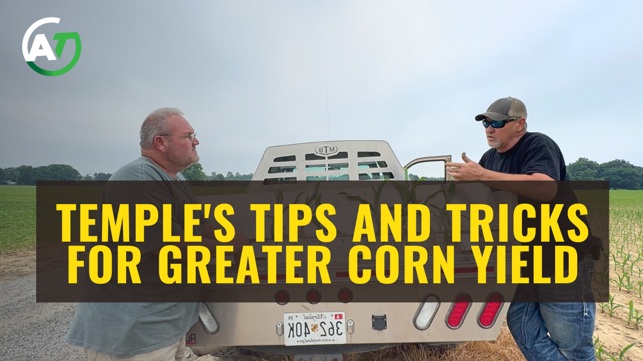 Temple's Success with NutriCharge Release | Field Trials Insights| AgroTech