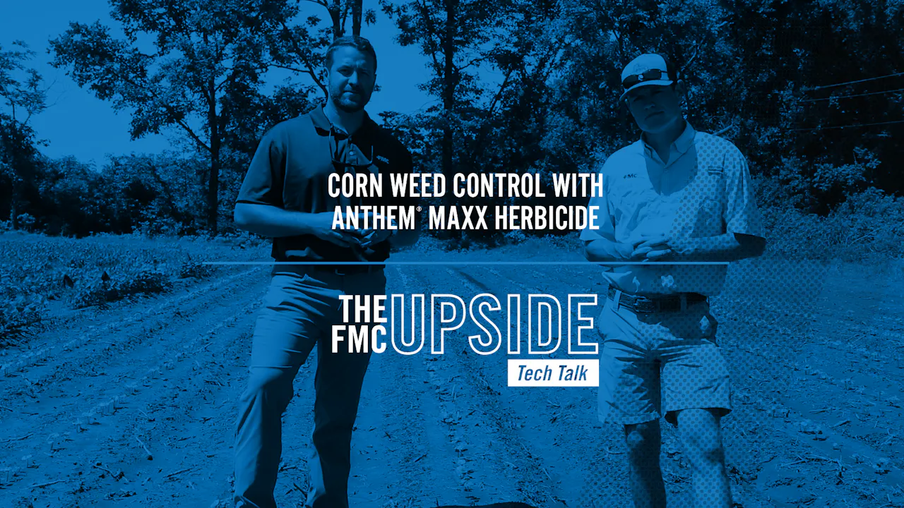Corn Weed Control with Anthem® MAXX Herbicide | FMC - AcresTV