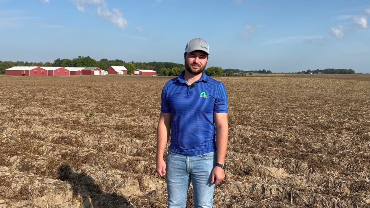 Importance of In-Season Potassium on Potatoes | AgroLiquid