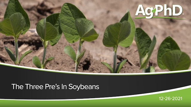 The Three Pre's in Soybeans | Ag PhD