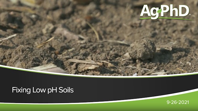 Fixing Low pH Soils | Ag PhD