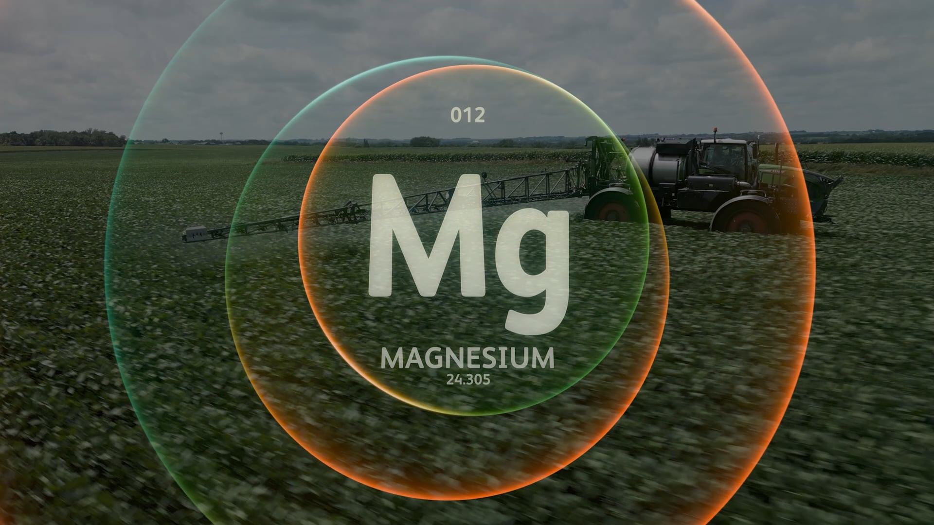 Magnesium Deficiency | AgroLiquid NS