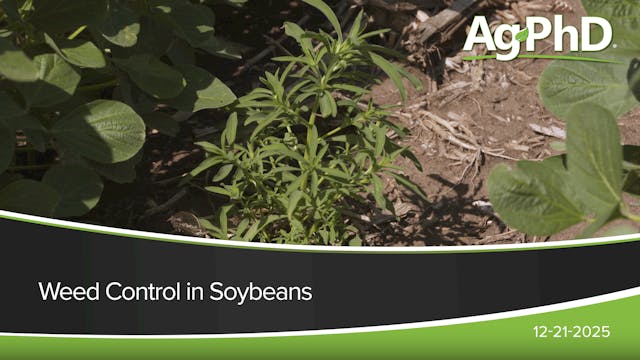 Weed Control in Soybeans | Ag PhD
