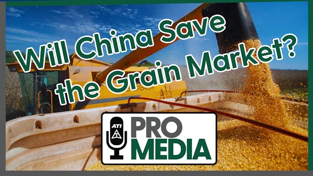 Will China Save the Grain Market? | A...