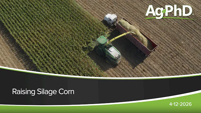 Raising Silage Corn | Ag PhD