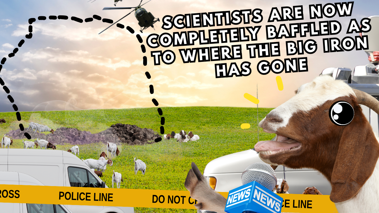 Big Iron! Pt 3 | WAG in Focus 09-11-25