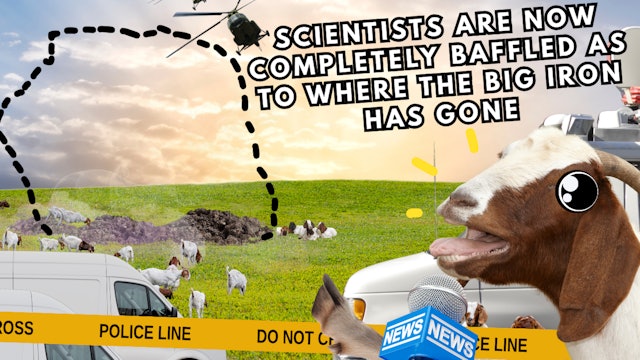 Big Iron! Pt 3 | WAG in Focus 09-11-25