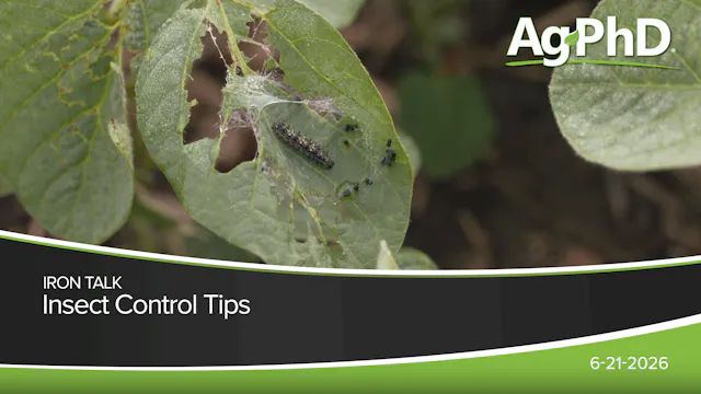 Insect Control Tips | Ag PhD
