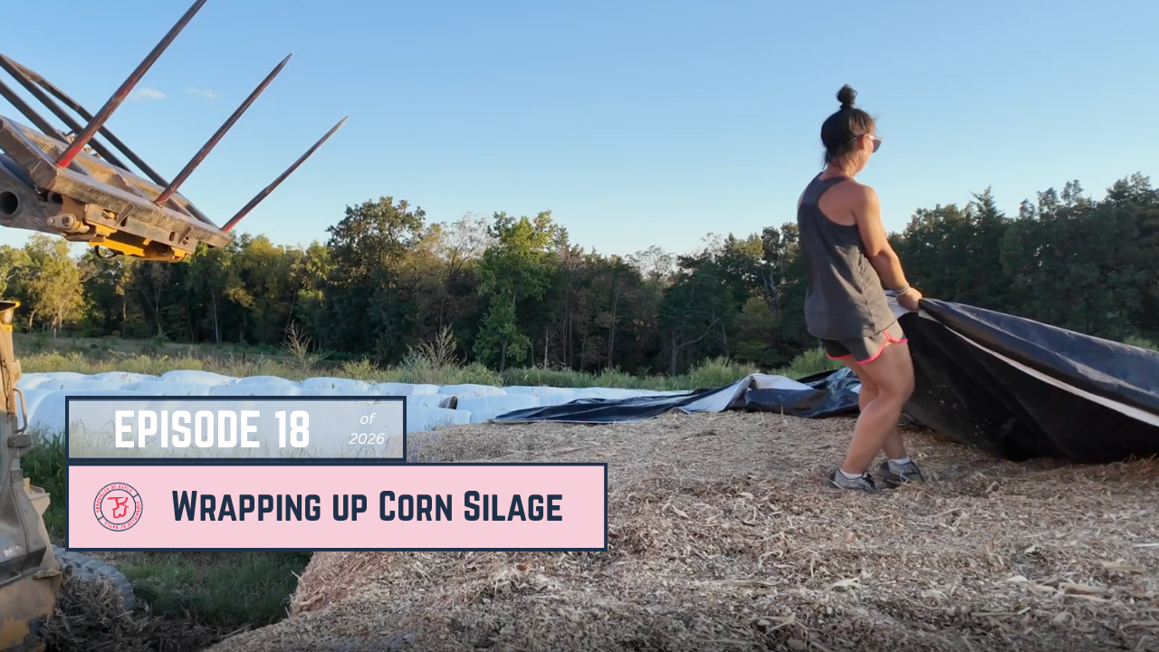 Wrapping Up Corn Silage Season | Chronicles of Kayla