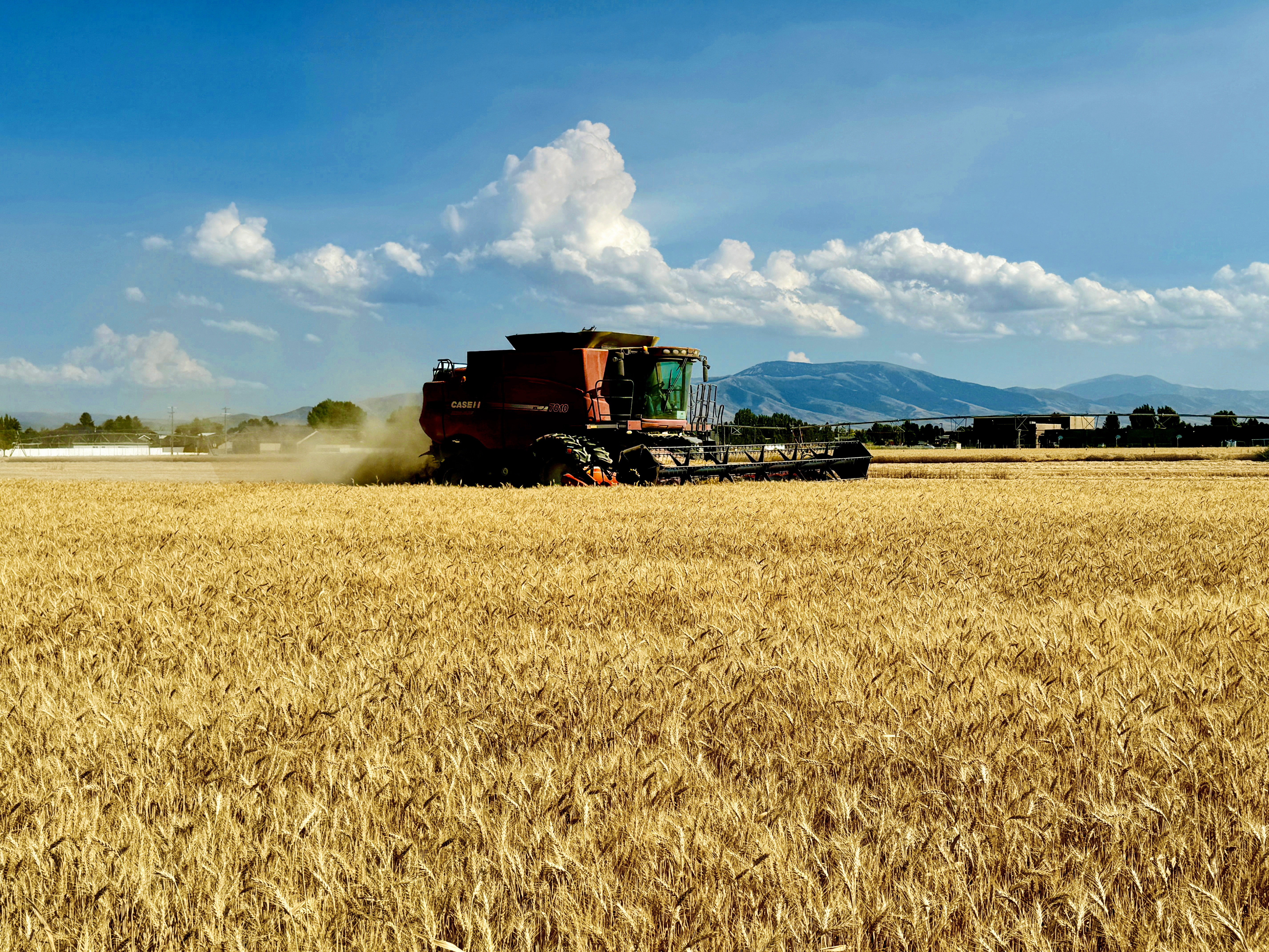 Idaho Barley Harvest | Redox