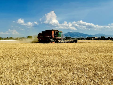 Idaho Barley Harvest | Redox