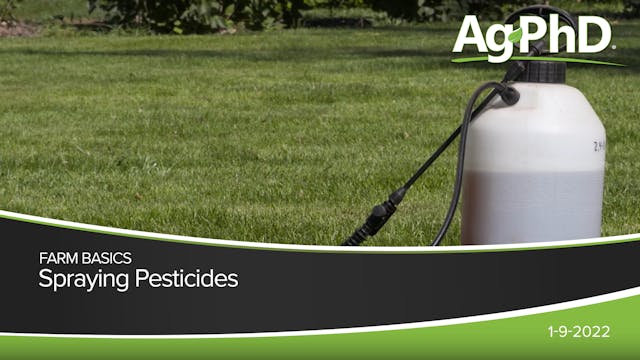 Spraying Pesticides