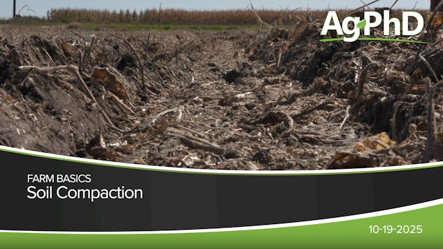 Soil Compaction | Ag PhD
