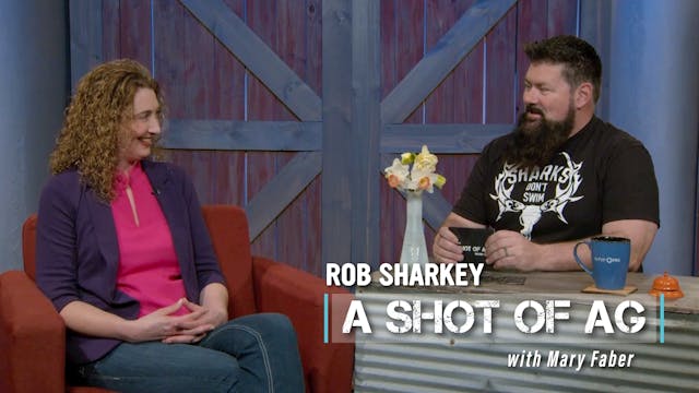 Mary Faber | Bookkeeping Solutions | ...