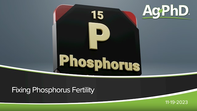 Fixing Phosphorus Fertility | Ag PhD