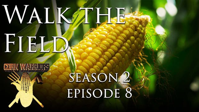 Corn Warriors | 208 | Walk the Field