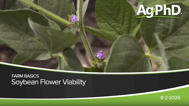 Soybean Flower Viability | Ag PhD