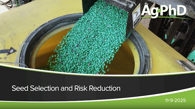 Seed Choice and Risk Reduction | Ag PhD