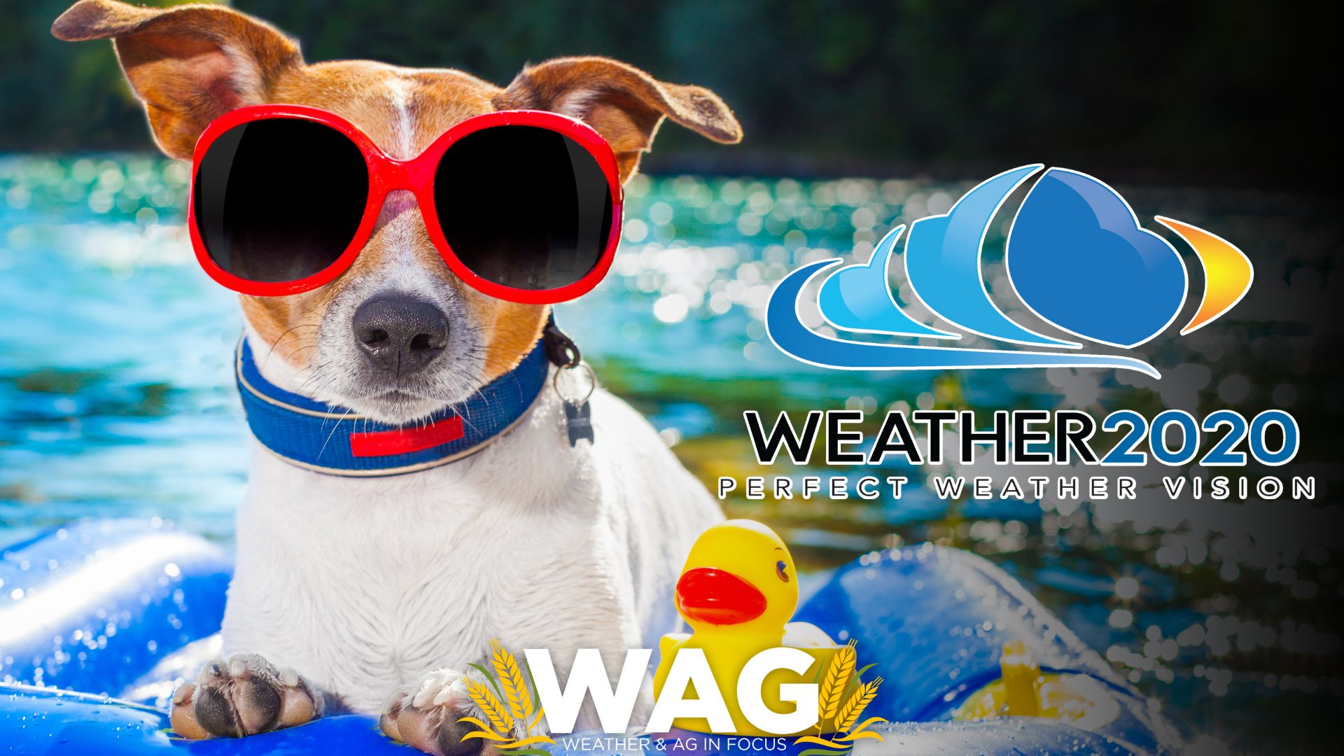 The LRC SUMMER FORCAST ft. Gary Lezack - WAG In Focus 5-17-23