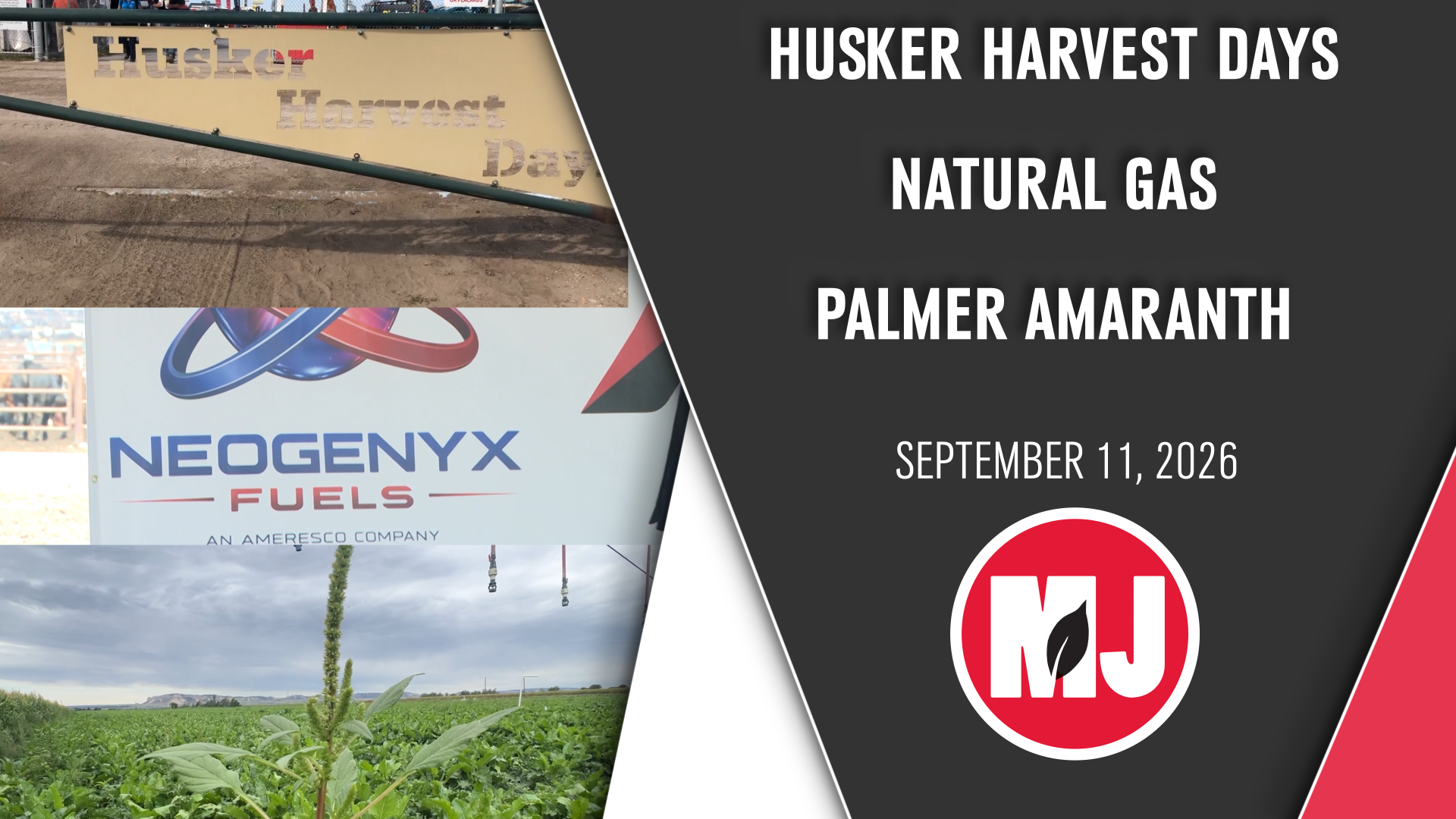 September 11, 2026 | Market Journal