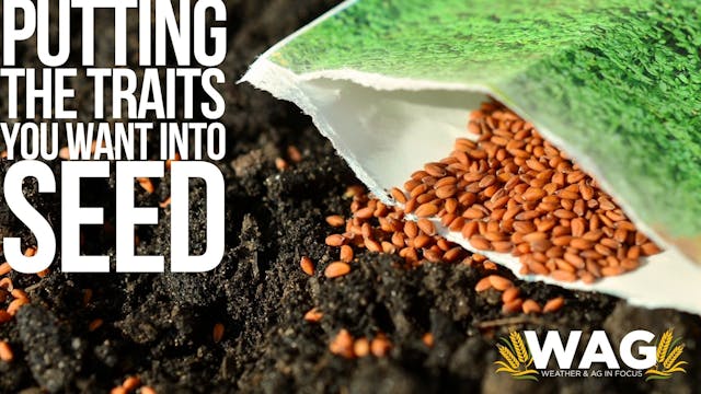 Putting the Traits You Want in Seed. ...