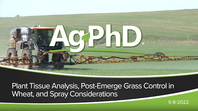 Plant Tissue Analysis, Post-Emerge Grass Control in Wheat, Spray Considerations