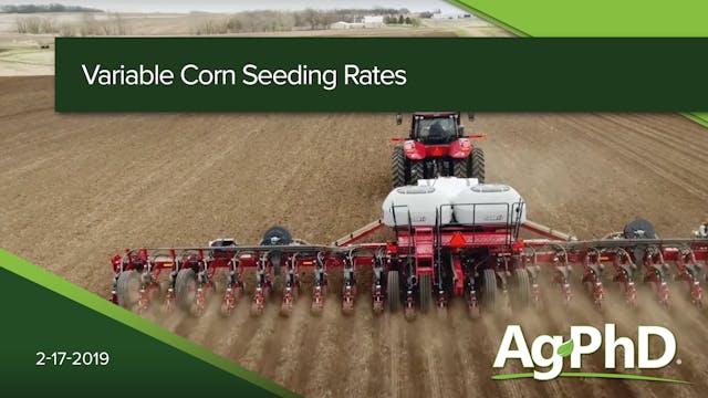 Variable Corn Seeding Rates | Ag PhD