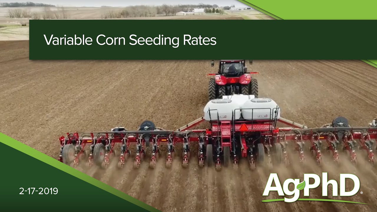 Variable Corn Seeding Rates 2019 AcresTV