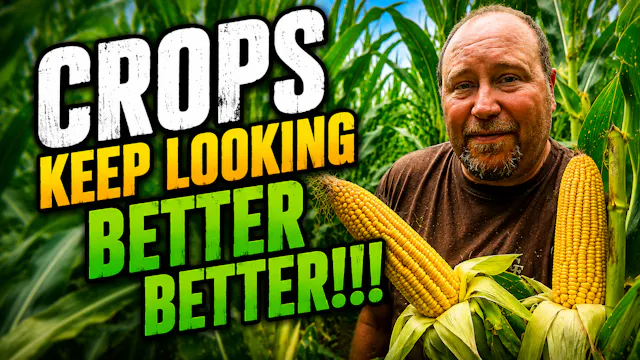 What Do Our Crops Look Like After Two...