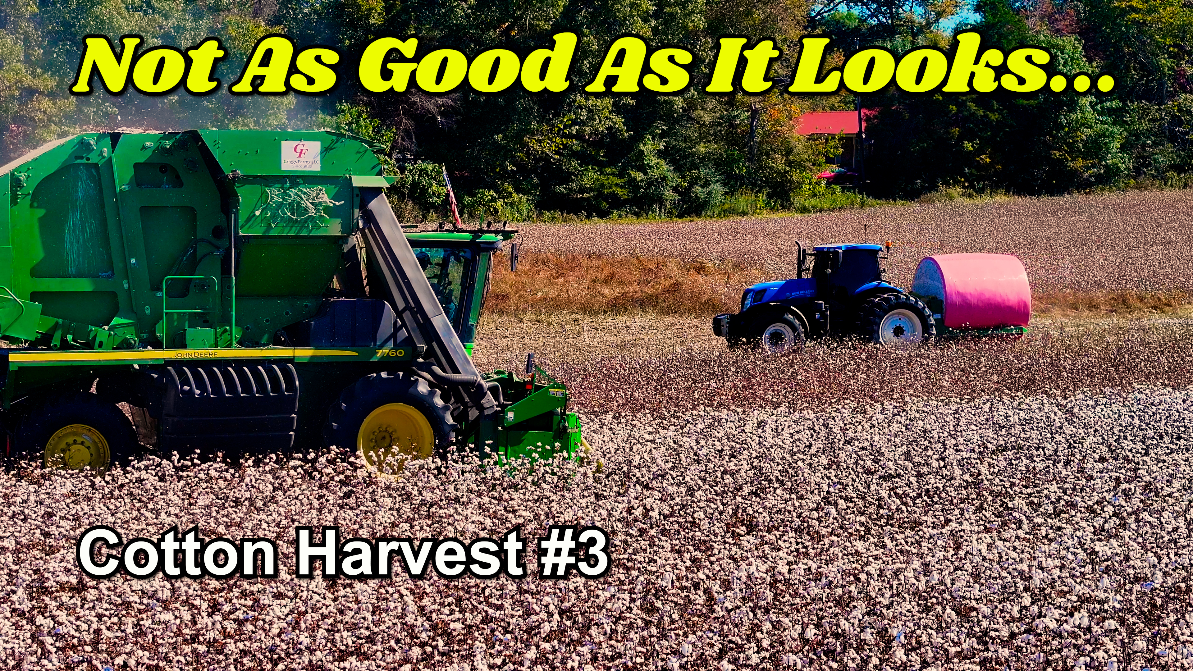 Worst Good Looking Cotton I've Ever Had... | Cotton Harvest | Griggs Farms