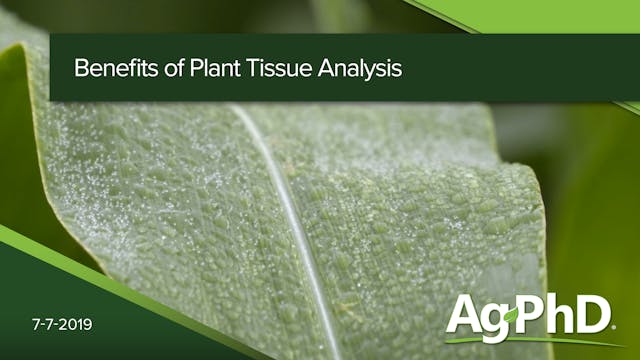 Benefits of Plant Tissue Analysis