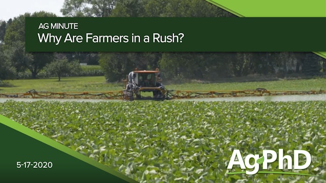 Why Are Farmers in a Rush? | Ag PhD